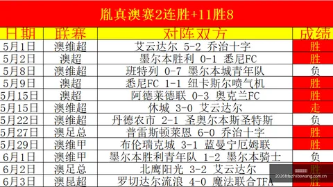 2026对决解析：华盛顿神秘人对抗多伦多节奏深度